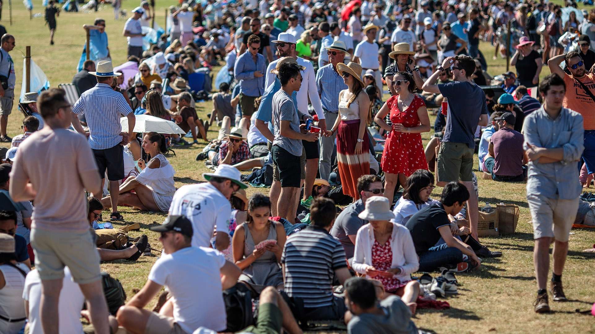 合性体育赛 合性体育赛