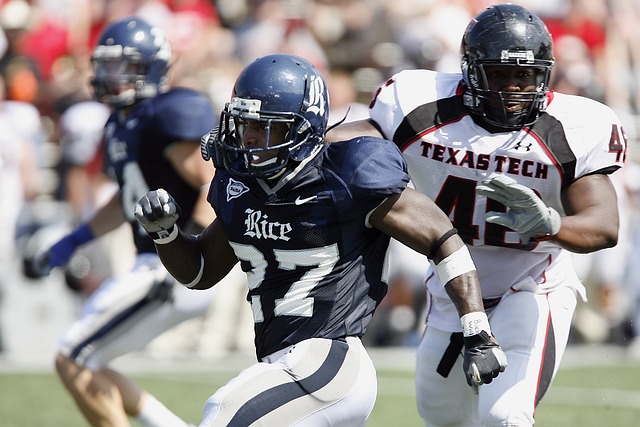 不仅体现了 不仅体现了